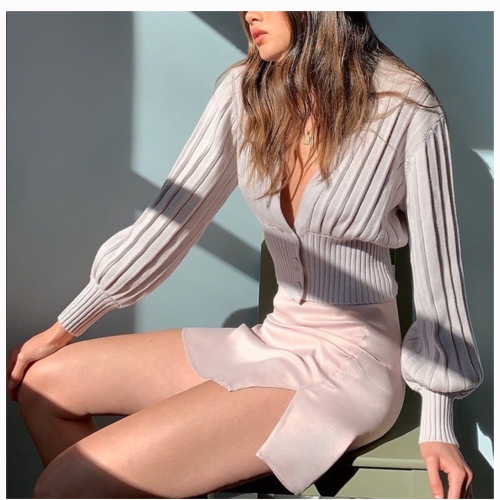 Aritzia skirt